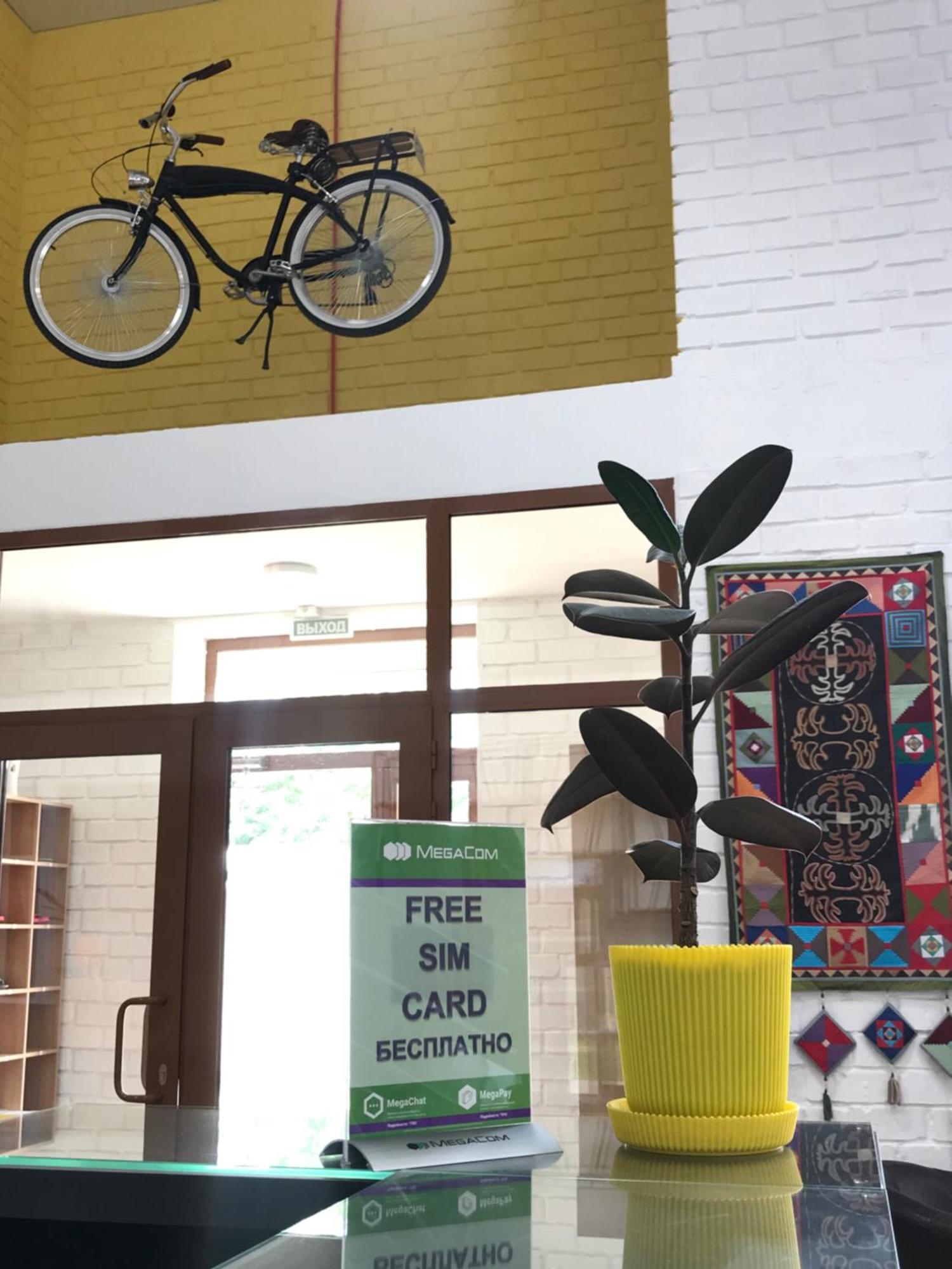 Ololofreelander Hostel&Coworking Biskek Kültér fotó